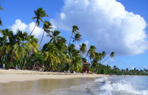 Пляж Лес-Салинес, Мартиника – фотографии Мартиники