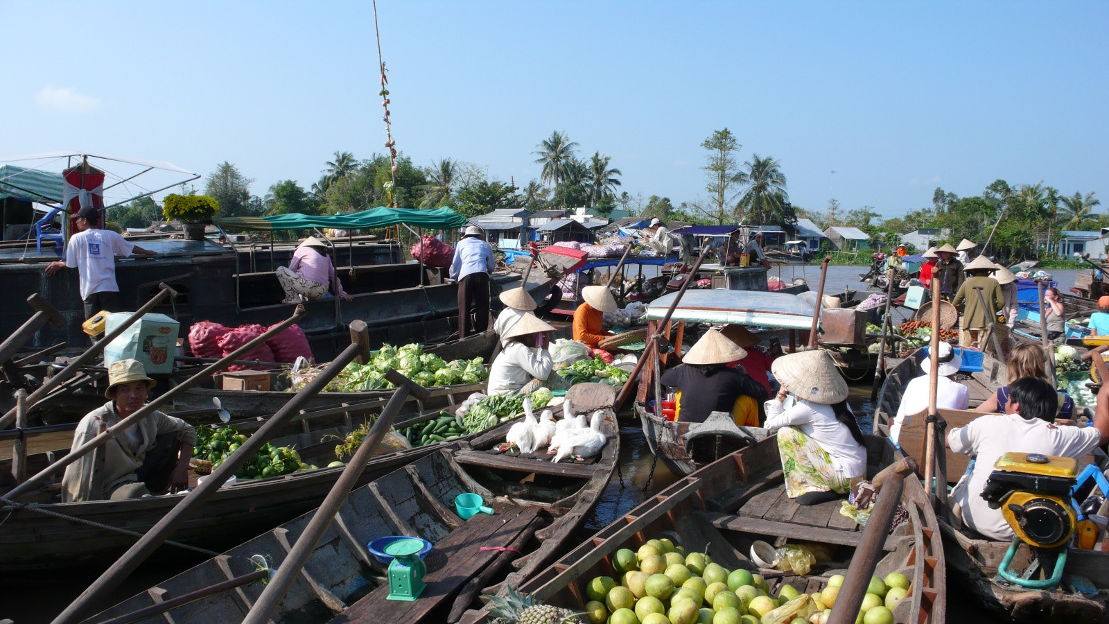 Рынок на воде в Кантхо – фотографии Вьетнама