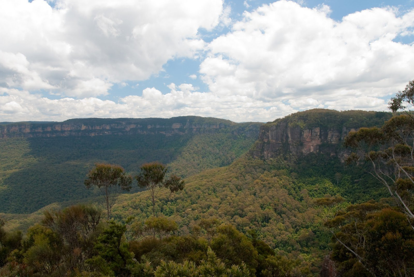 Горы Сиднея, Австралия – фотографии Австралии