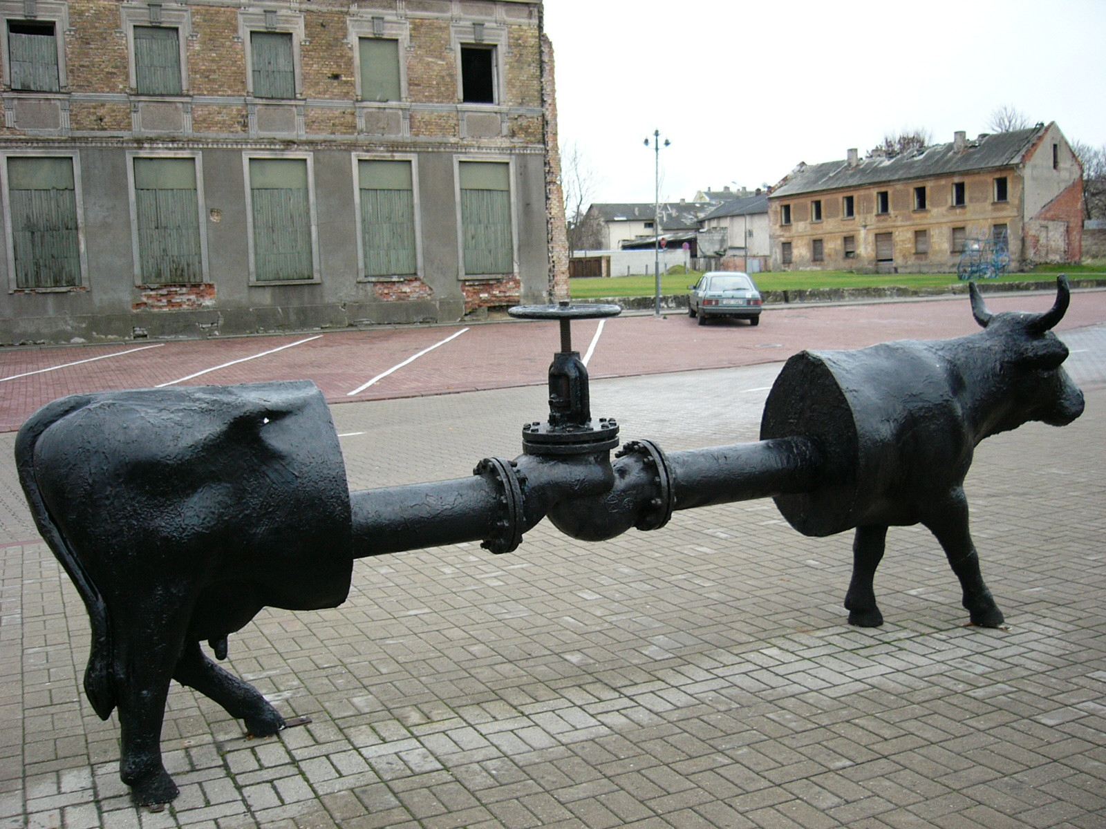 Странная корова в Вентспилсе – фотографии Латвии