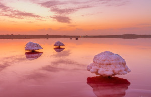 Розовое озеро в Сенегале 13 – фотографии Сенегала