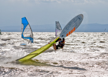Крупное слабосолёное озеро Нойзидлер-Зе в Австрии – фотографии Австрии