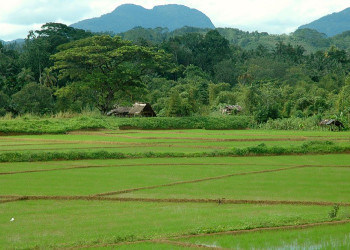 Китулгала, Шри-Ланка, фото № 51480 – фотографии Шри-Ланки