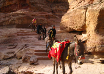 Петра, Иордания, фото № 37253 – фотографии Иордании