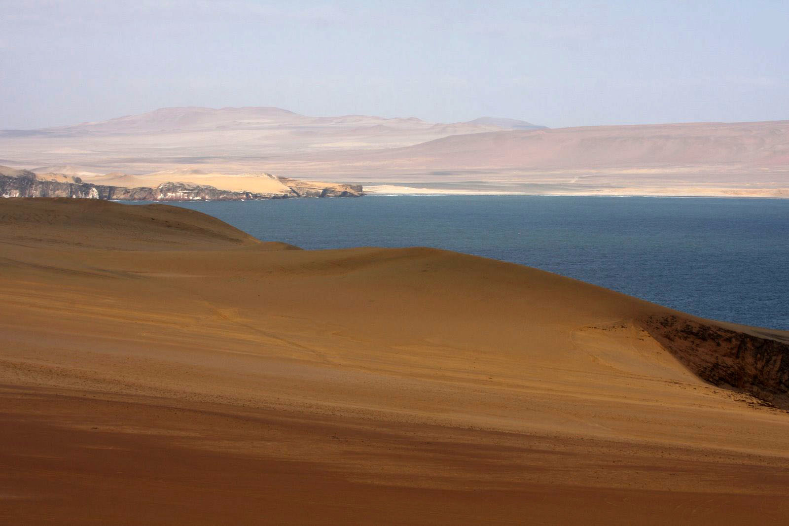 Побережье заповедника Паракас в Перу – фотографии Перу