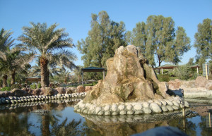 Аль-Арин (Al Areen) – парк дикой природы в Бахрейне. Фото 5 – фотографии Бахрейна