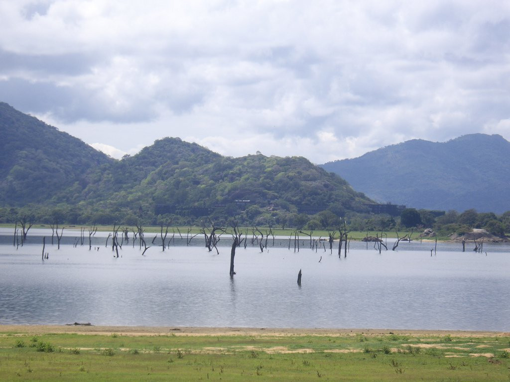 Кандалама, Шри-Ланка, фото № 51286 – фотографии Шри-Ланки