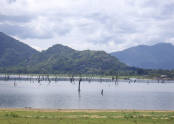 Кандалама, Шри-Ланка, фото № 51286 – фотографии Шри-Ланки