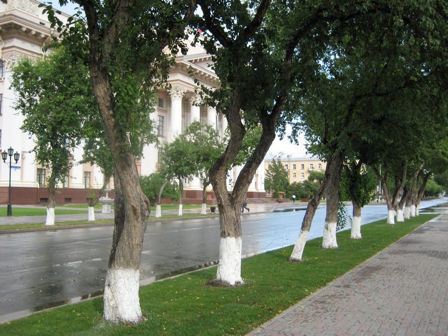 Улица в Тюмени, Россия. Фото 2 – фотографии России