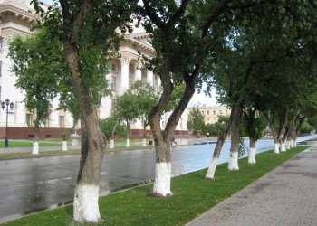 Улица в Тюмени, Россия. Фото 2 – фотографии России