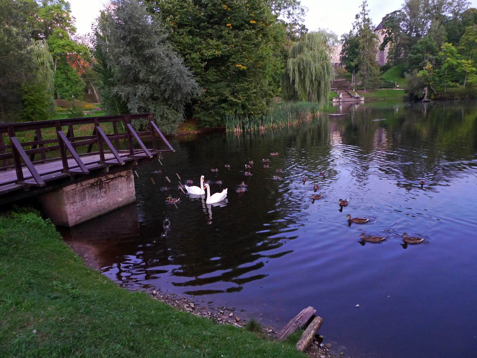 Пруд в Цесисе – фотографии Латвии
