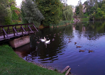 Пруд в Цесисе – фотографии Латвии