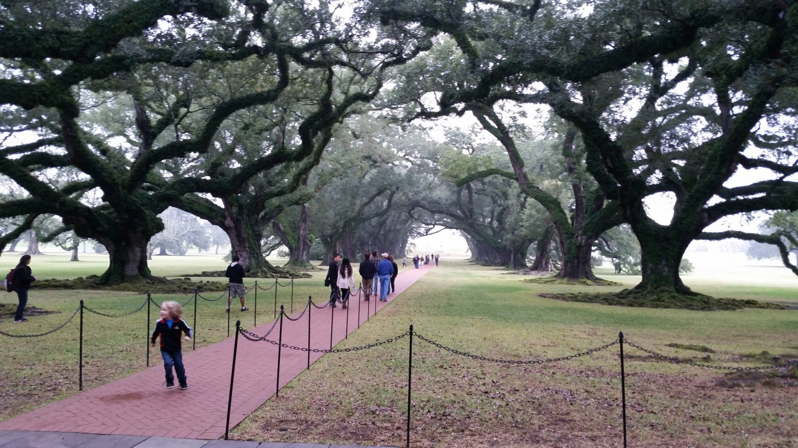 Плантация Дубовая Аллея, Луизиана. Фото 2 – фотографии США