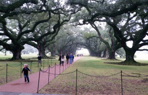 Плантация Дубовая Аллея, Луизиана. Фото 2 – фотографии США
