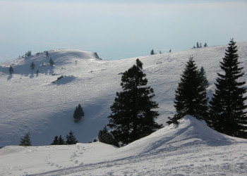 Велика Планина, Словения, фото № 56965 – фотографии Словении