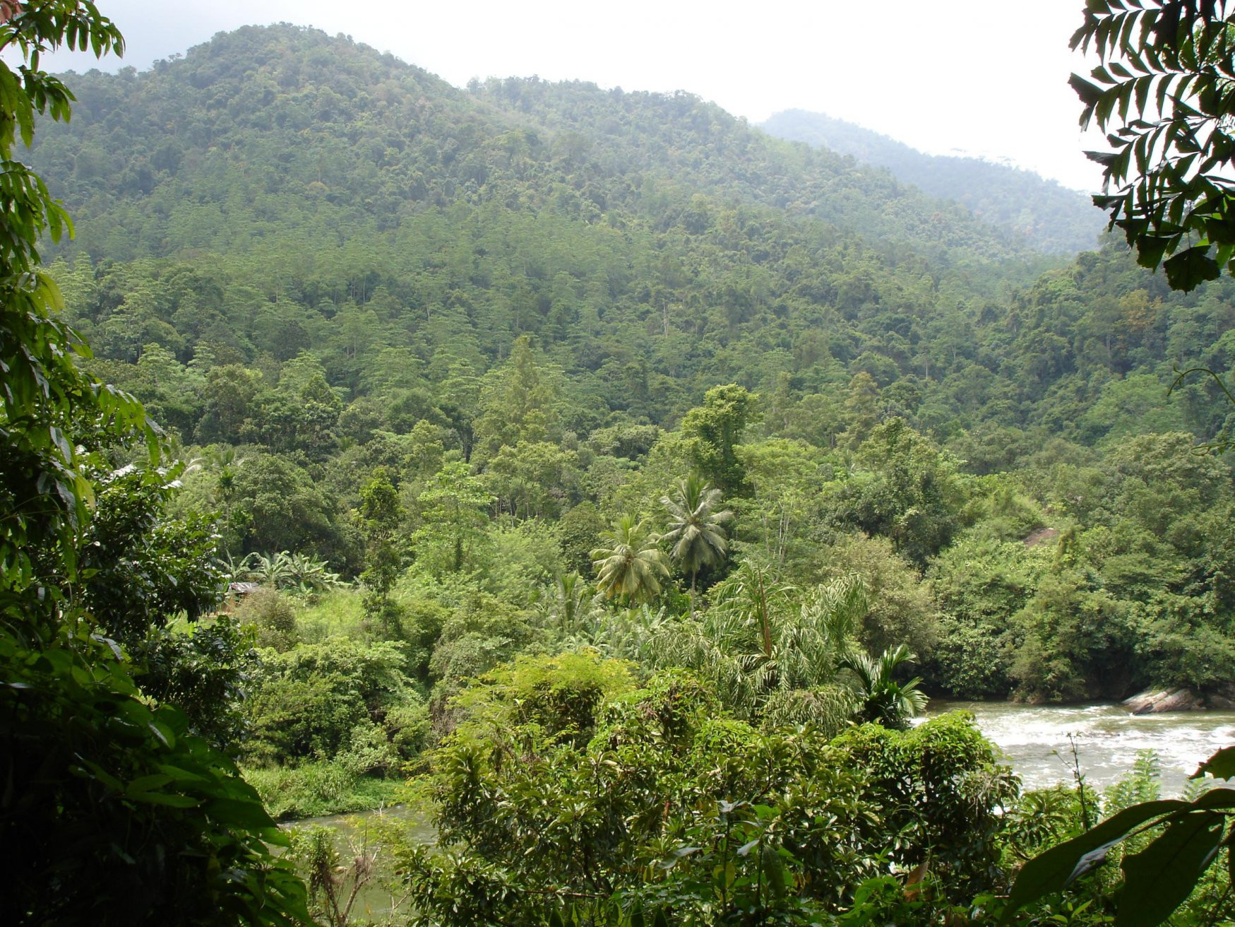 Китулгала, Шри-Ланка, фото № 51499 – фотографии Шри-Ланки