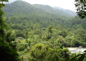 Китулгала, Шри-Ланка, фото № 51499 – фотографии Шри-Ланки