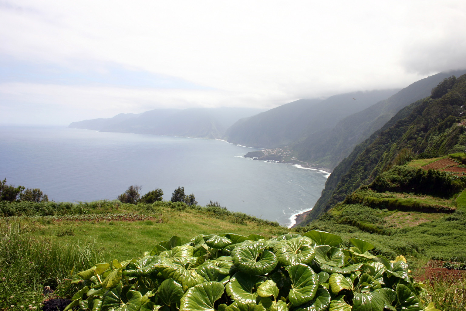 Виды Мадейры – фотографии Португалии