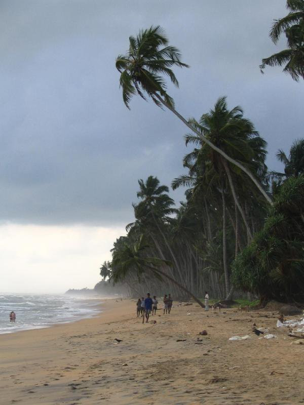 Ваддува, Шри-Ланка, фото № 50786 – фотографии Шри-Ланки