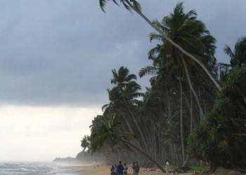 Ваддува, Шри-Ланка, фото № 50786 – фотографии Шри-Ланки