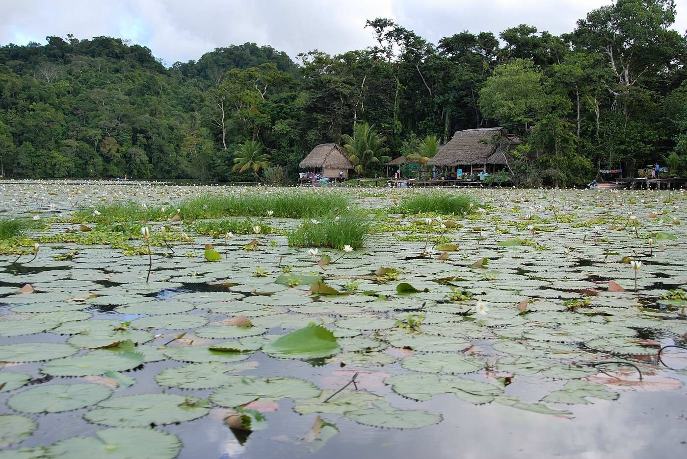 Rio Dulce – фотографии Гватемалы