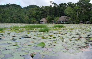 Rio Dulce – фотографии Гватемалы