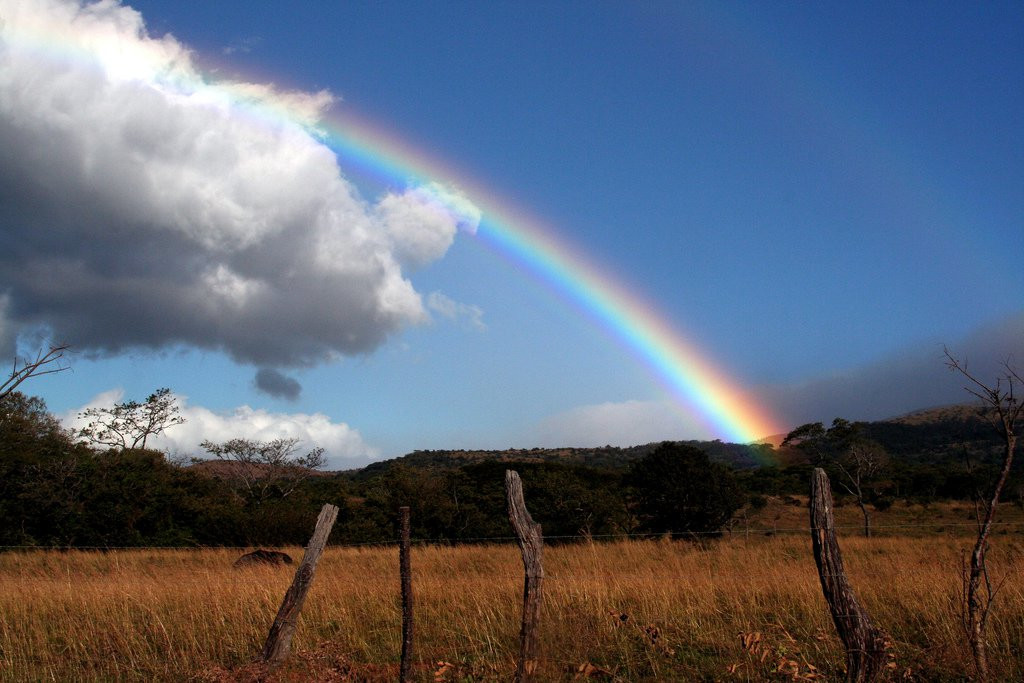 Ринкон де ла Виеха Национальный Парк, Гуанакасте провинция, Коста-Рика, фото № 39256 – фотографии Коста-Рики