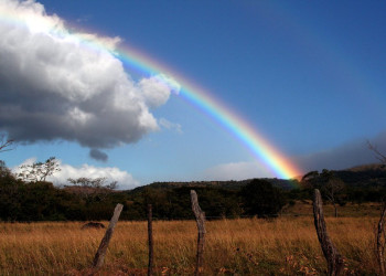 Ринкон де ла Виеха Национальный Парк, Гуанакасте провинция, Коста-Рика, фото № 39256 – фотографии Коста-Рики