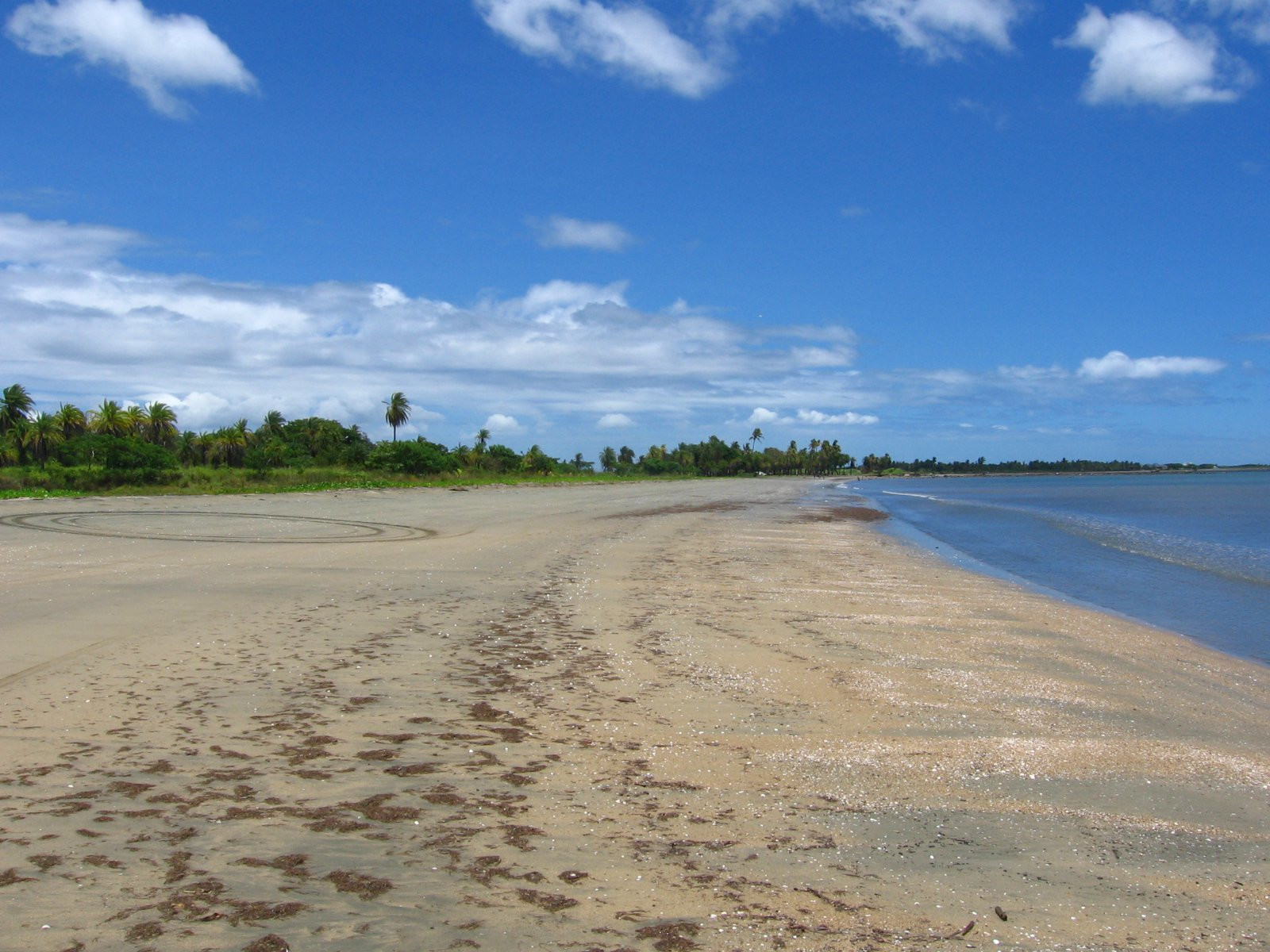 Нади, Вити Леву остров, Вити Леву группа островов, Фиджи, фото № 49520 – фотографии Фиджи