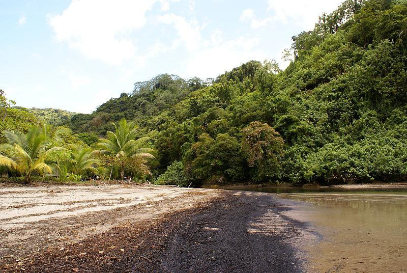 о.Кокос, Пунтаренас провинция, Коста-Рика, фото № 40872 – фотографии Коста-Рики