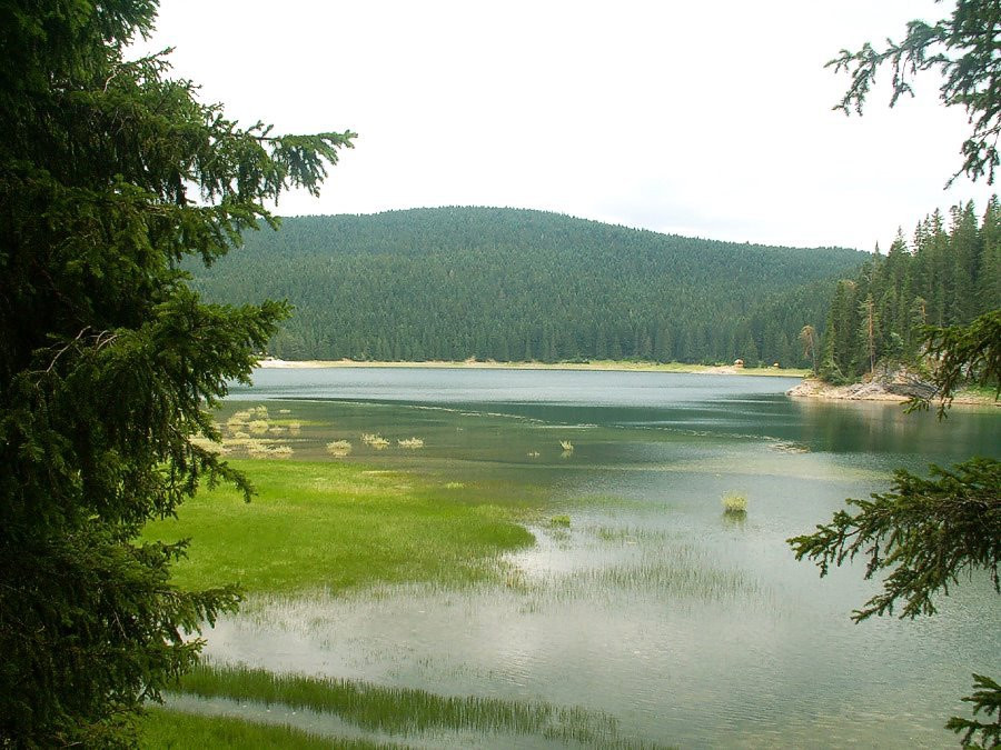 Црно озеро – фотографии Черногории