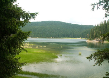 Црно озеро – фотографии Черногории