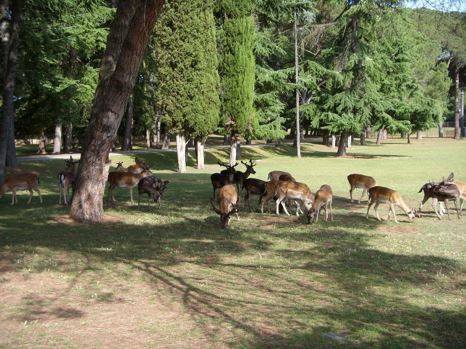 Национальный парк, Хорватия. Фото 10 – фотографии Хорватии