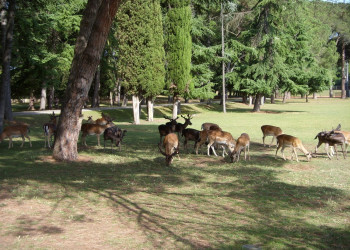 Национальный парк, Хорватия. Фото 10 – фотографии Хорватии