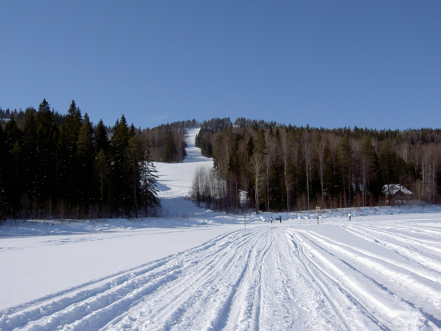Коли, Финляндия, фото № 74550 – фотографии Финляндии