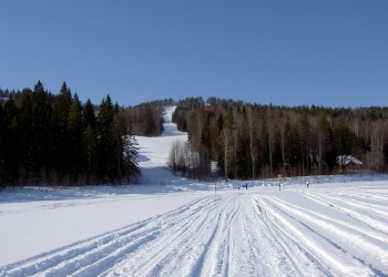 Коли, Финляндия, фото № 74550 – фотографии Финляндии