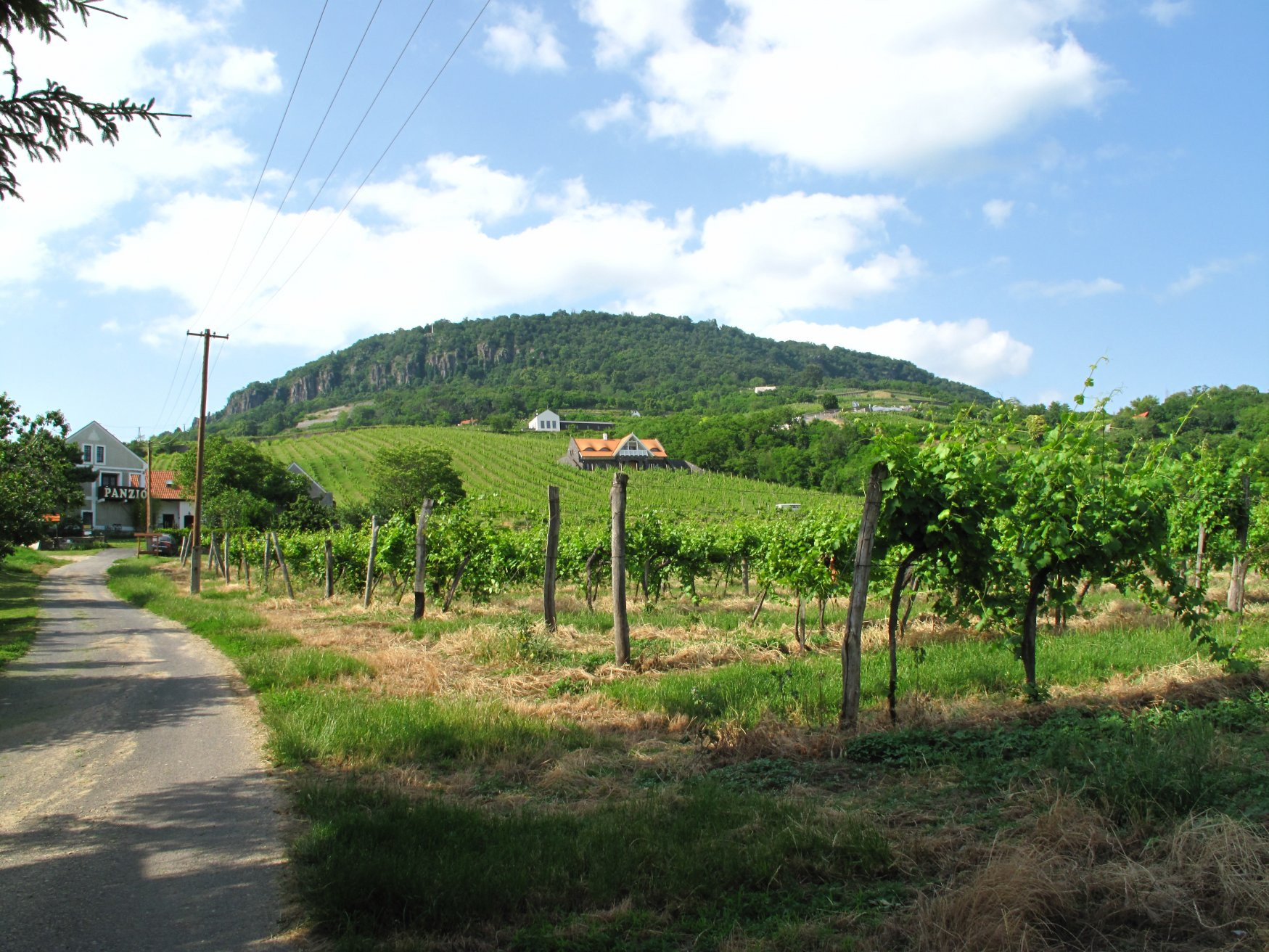 Бадачонь, Балатон озеро, Венгрия, фото № 69719 – фотографии Венгрии