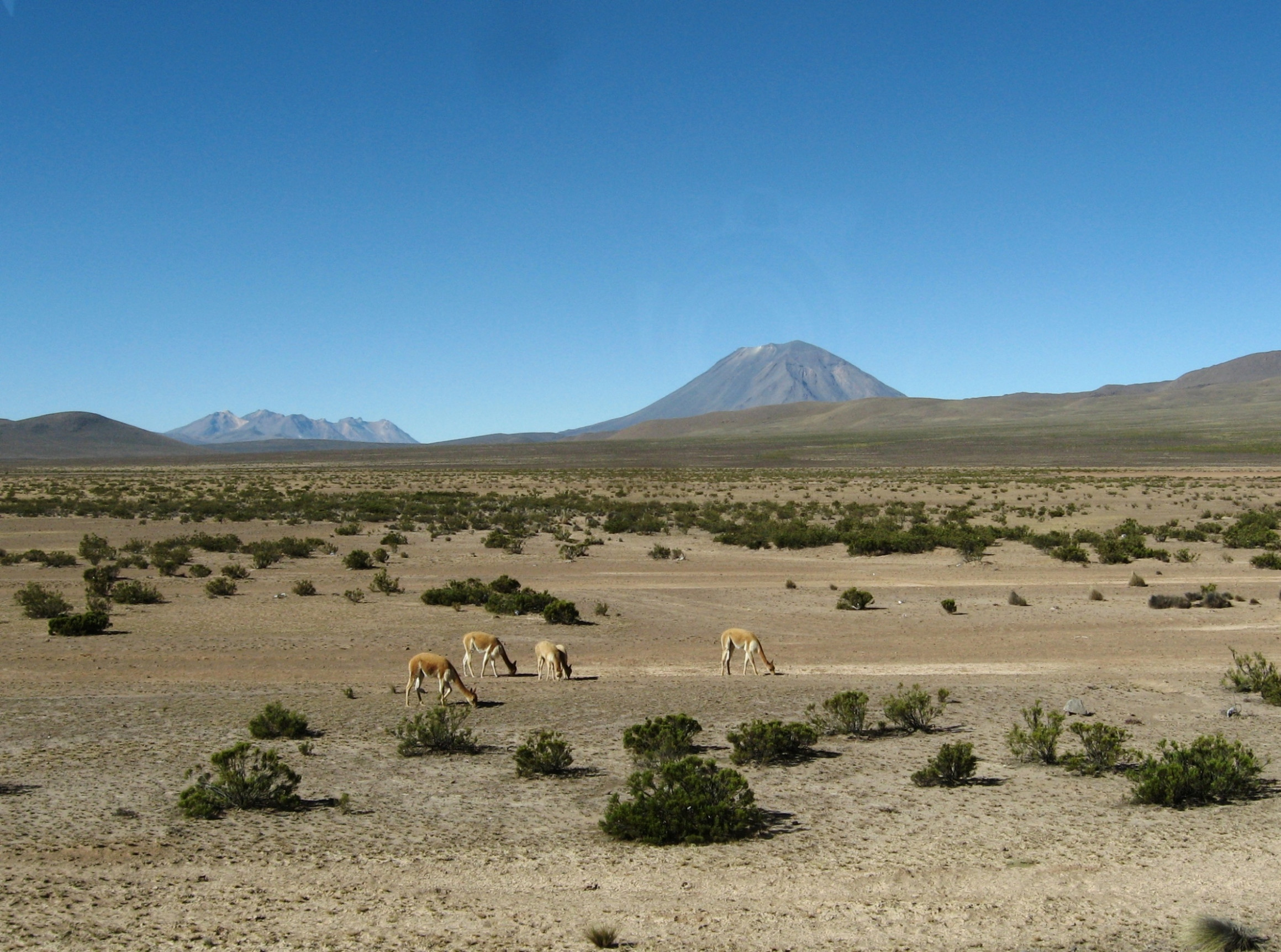 Заповедник Салинас и Агуада-Бланка – фотографии Перу
