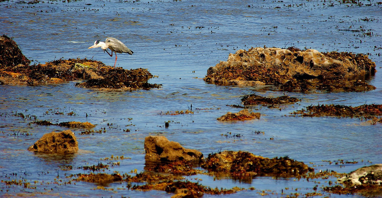 Ирландия, фото № 2567 – фотографии Ирландии