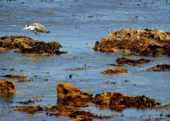 Ирландия, фото № 2567 – фотографии Ирландии