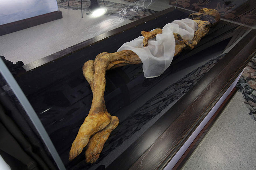 Мумия «Алтайской принцессы» в музее Горно-Алтайска – фотографии России