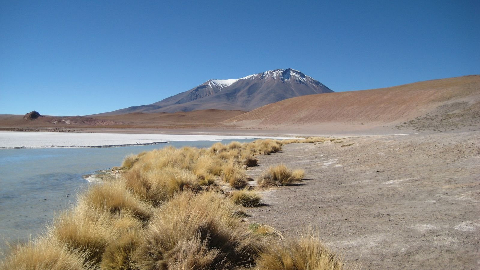 Laguna Hedionda – фотографии Боливии