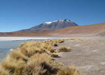Laguna Hedionda – фотографии Боливии