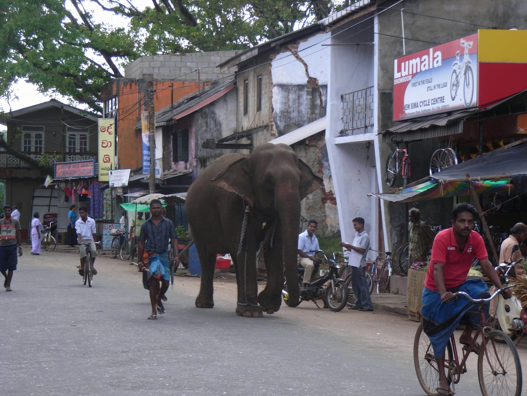 Бентота, Шри-Ланка, фото № 50625 – фотографии Шри-Ланки
