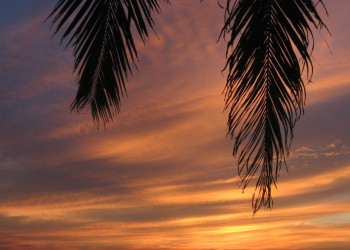 Берувела, Шри-Ланка, фото № 50715 – фотографии Шри-Ланки