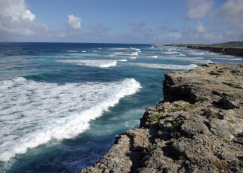Скалистое побережье Барбадос River Bay на севере страны – фотографии Барбадоса