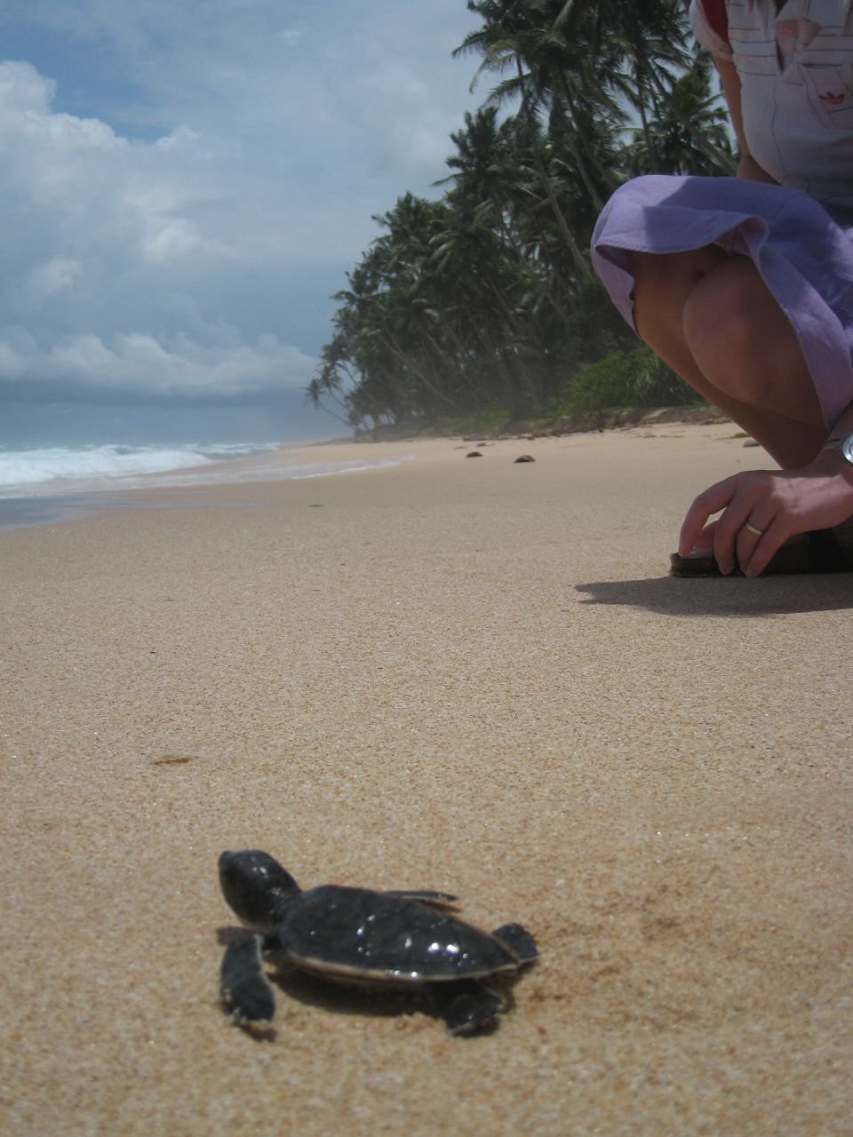 Галле, Шри-Ланка, фото № 50938 – фотографии Шри-Ланки