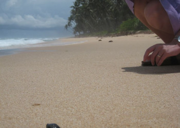 Галле, Шри-Ланка, фото № 50938 – фотографии Шри-Ланки