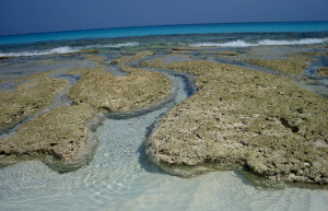 Море на острове Эксума, Багамские острова. Фото 2 – фотографии Багамских островов