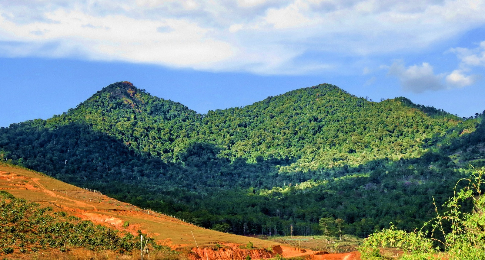 Природа в окрестностях Далата – фотографии Вьетнама